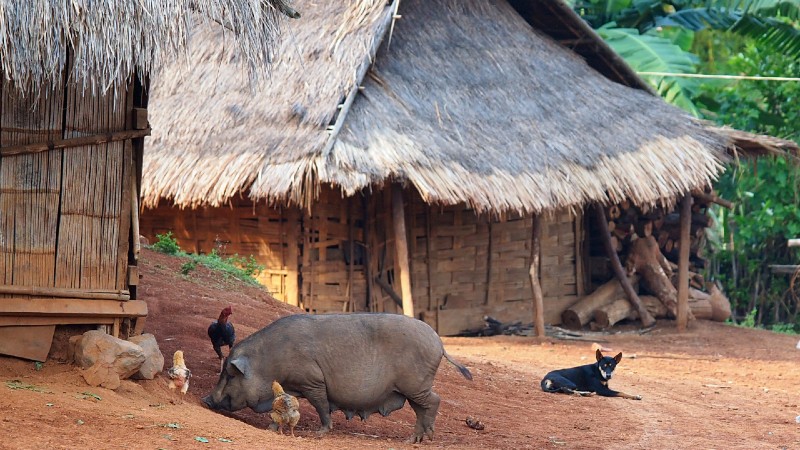 vre Mekong  kultur og landsbyliv